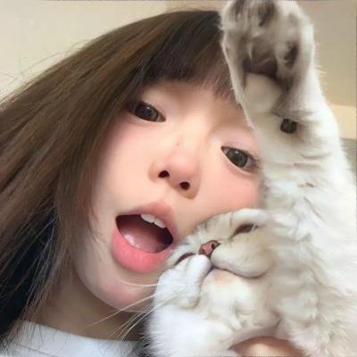 我跟踪猫
